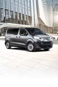 Scudo Multicab